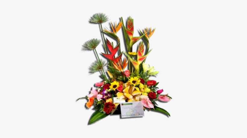 E 04 Variedad De Flores Con Frutas - Table, transparent png download