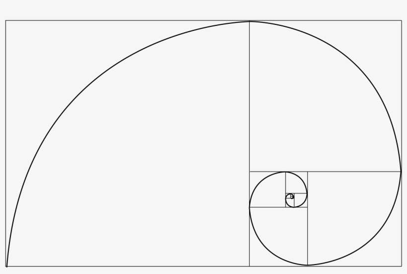 Download Fibonacci Spiral Png - Fibonacci Transparent | Transparent PNG ...