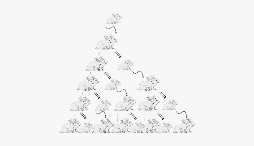 Pattern And Sequence In Real Life, transparent png download