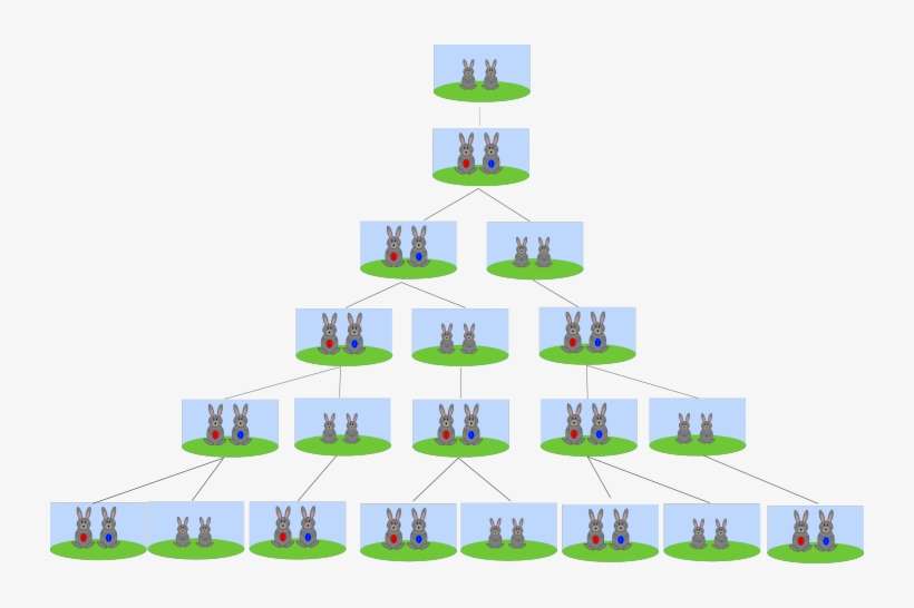 Fibonacci And Stock Market Analysis - Fibonacci Sequence Rabbit Diagram, transparent png download