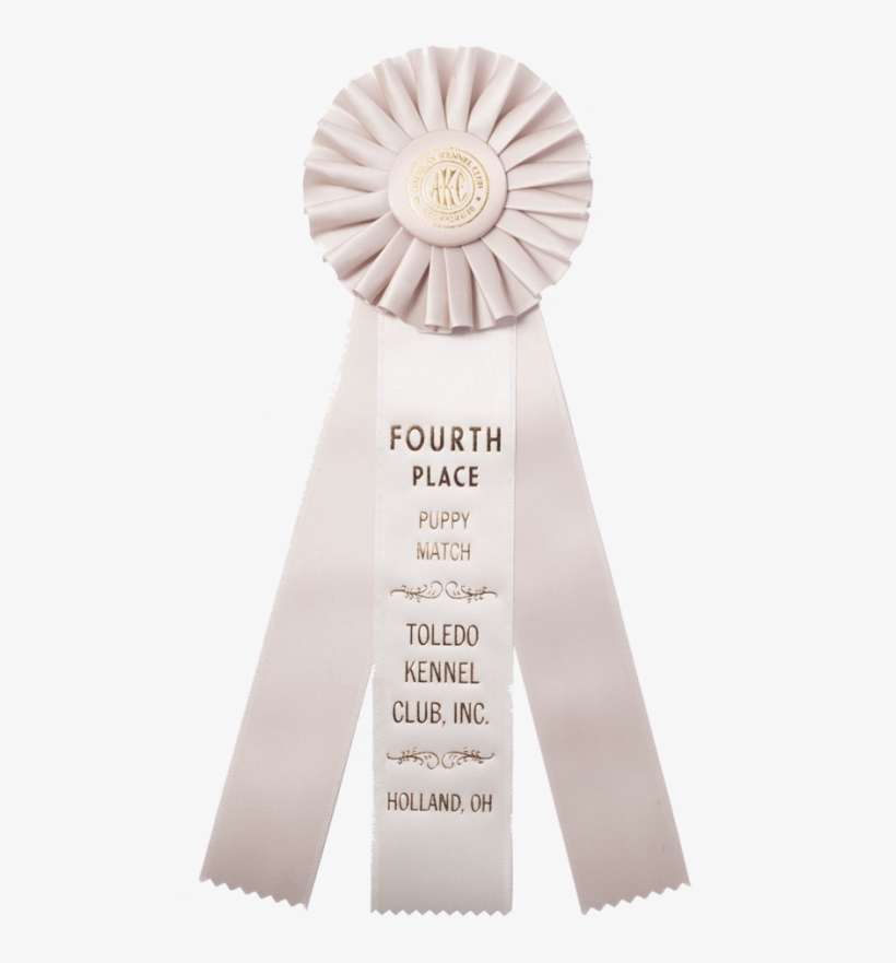318 Custom Award Rosetterosettesrs 318 2771 - Award, transparent png download