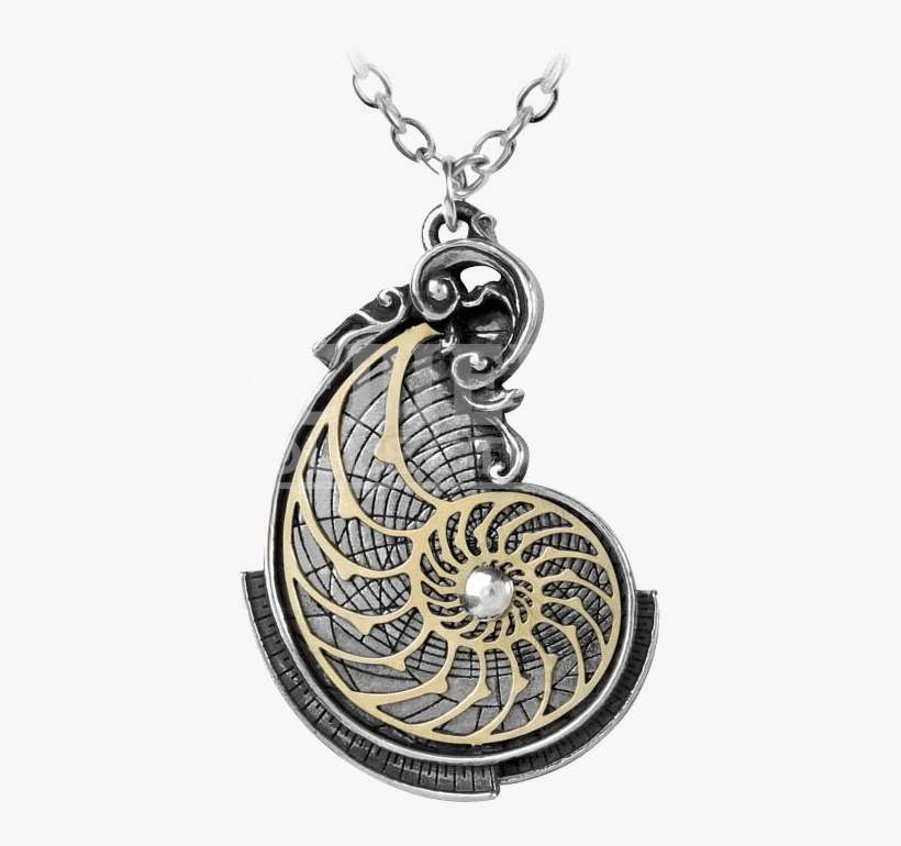 Fibonacci Golden Spiral Pendant - Fibonacci Golden Spiral Pewter Necklace, transparent png download
