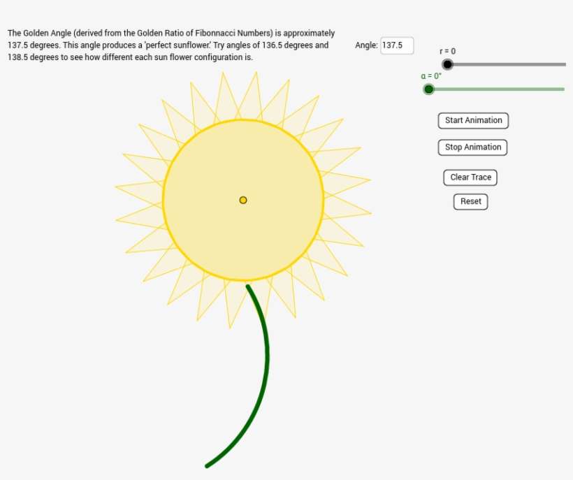 Golden Sunflower - Circle, transparent png download