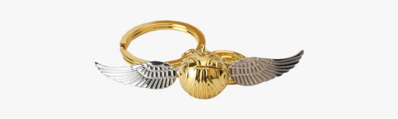 Eagle, transparent png download