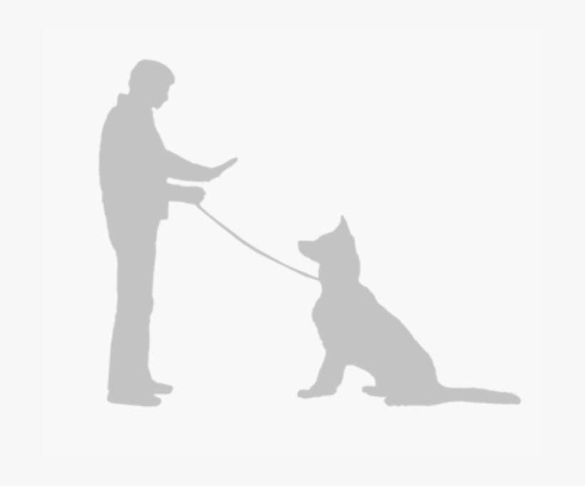 Dog With Owner Silhouette, transparent png download