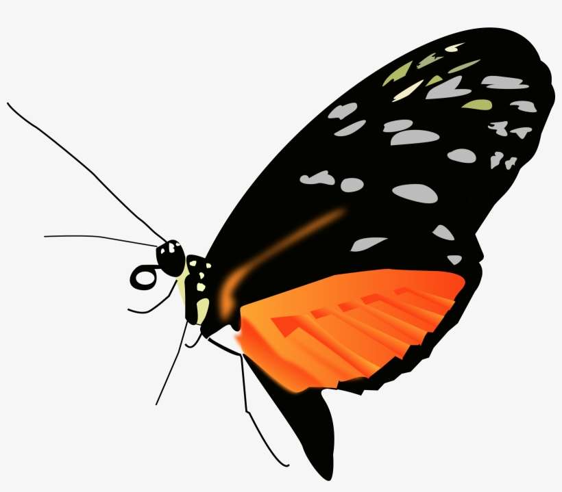 This Free Icons Png Design Of Lighter Orange-black, transparent png download