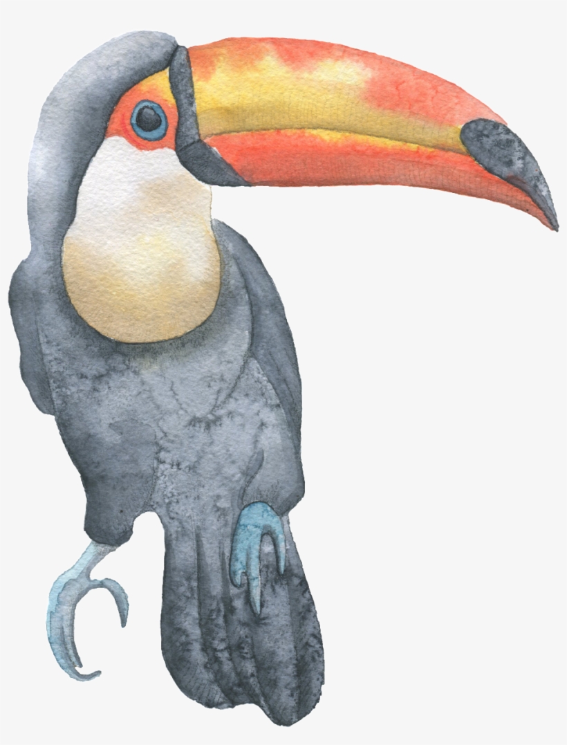 Whale Head Stork Bird Hand Painted Watercolor Transparent - Watercolor Painting, transparent png download