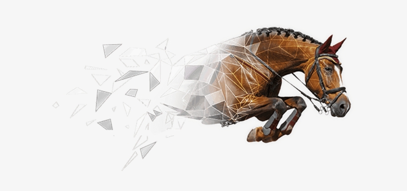 Polygon Horse October Shows Front Lft - Visual Dictionary French - English, transparent png download