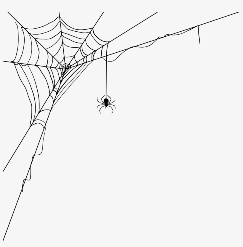 Web World Wide Silk - Transparent Spider Webs, transparent png download