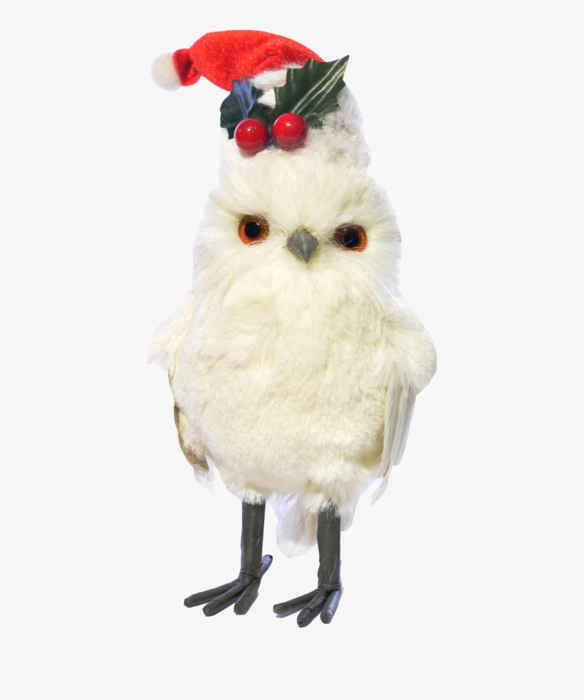 Búho De Pie Blanco Gorro De Navidad De Frente - Christmas Day, transparent png download
