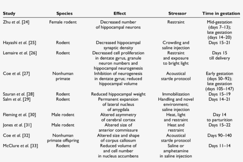 Effect Of Prenatal Stress On Brain Morphology Of Offspring - Number, transparent png download