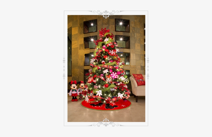 Colecciones N - Mexico City, transparent png download