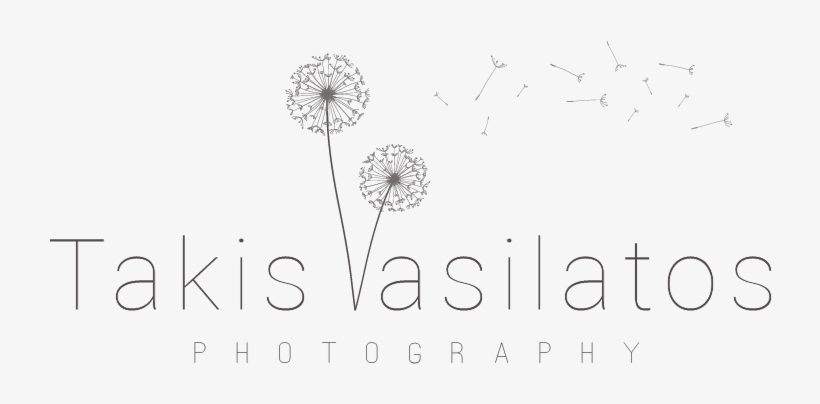 Takis Vasilattos Photography - Dandelion Banner, transparent png download
