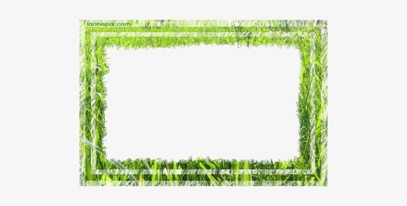 Photo Frame - Green Grass - Nikki, transparent png download
