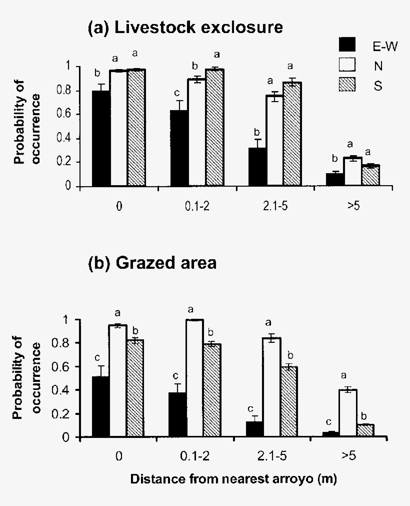 Predicted Probability Of Occurrence Of Black Grama - Diagram, transparent png download