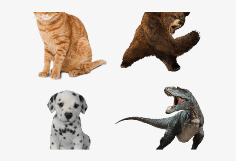 Vivid Arts Pet Pal Dalmatian Puppy - Resin Garden Ornament, transparent png download