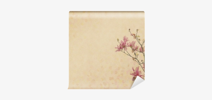 Magnolia Flower With Old Antique Vintage Paper Background - Cherry Blossom, transparent png download