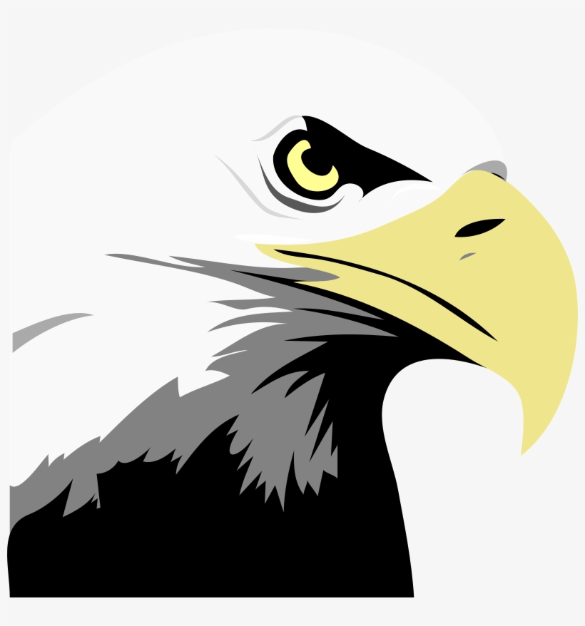 Eagle Clip Art Download Small Png Medium Png Large - Eagle Eye, transparent png download