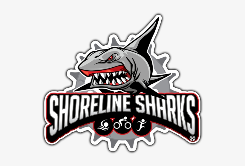 Shorline Sharks - Shark Racing Logo, transparent png download