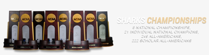 Below Top Story Promotions - Eye Shadow, transparent png download