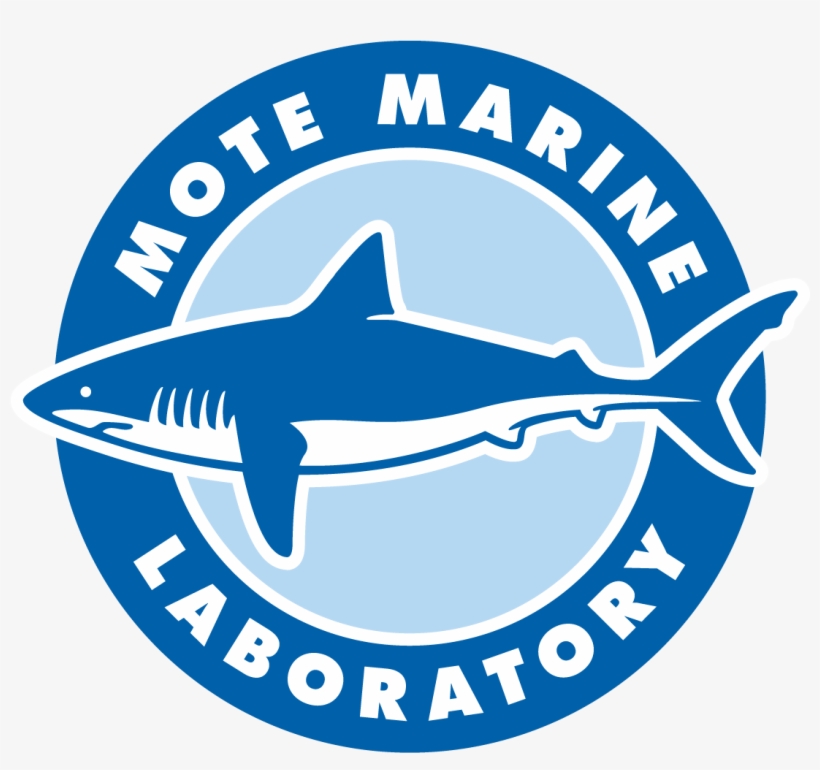 Mote Mote Marine Laboratory Logo PNG Image Transparent PNG Free