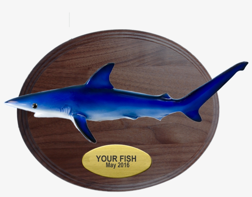 Blue Shark On Small Oval Walnut - Bronze Hammerhead Shark, transparent png download