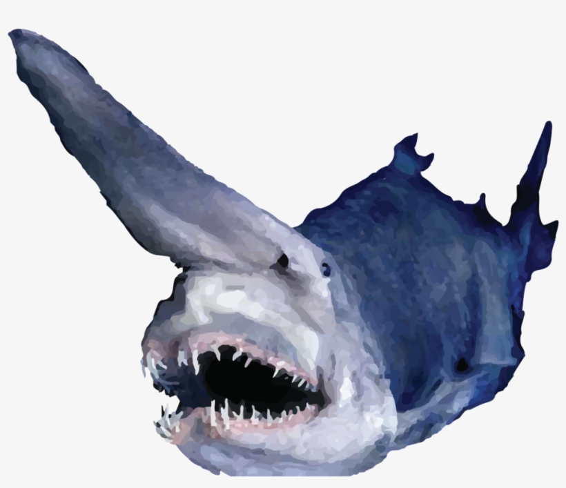 Sharks - Goblin Shark, transparent png download