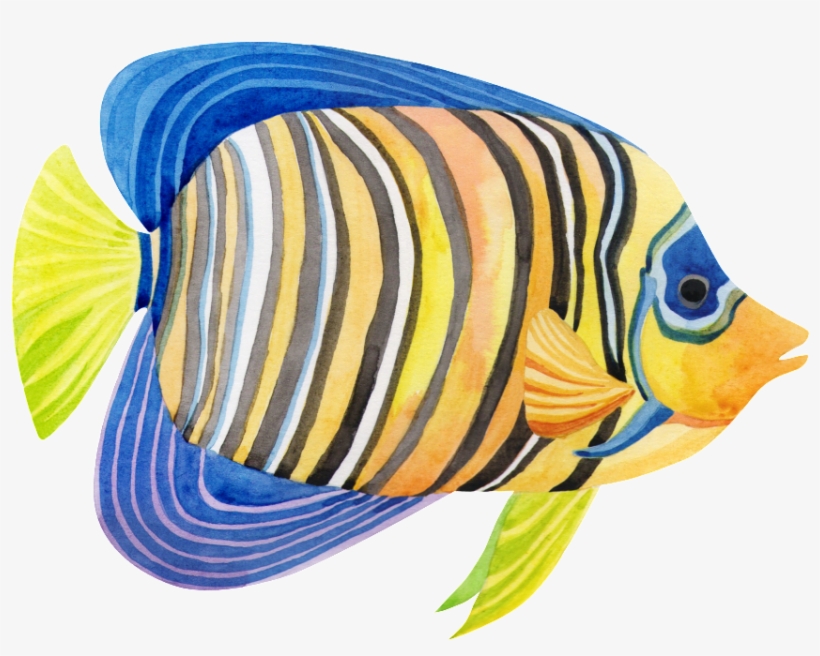 Hand Painted A Striped Fish Png Transparent - Portable Network Graphics, transparent png download