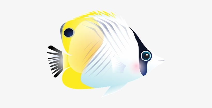 Fish Tropical Fish Sea Exotic Fish Aquariu - Imagenes De Los Peses Del Mar, transparent png download