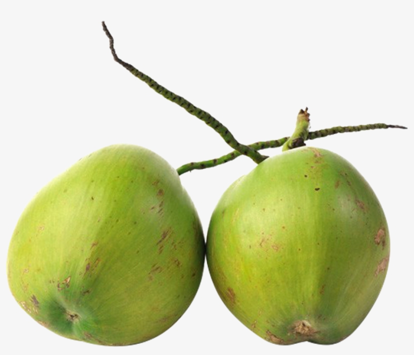 Thumb Image - Agua De Coco Png, transparent png download