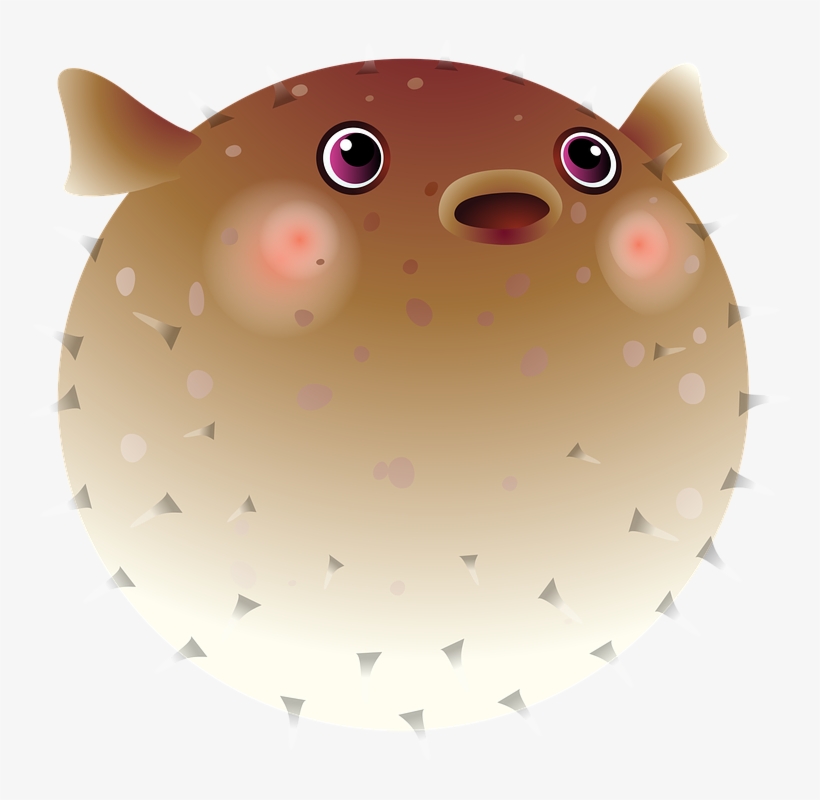 Fish, Tropical Fish, Sea, Exotic Fish, Aquarium - Puffer Fish Clip Art Png, transparent png download