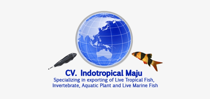 Indotropical Maju - Hari Sumpah Pemuda 2015, transparent png download