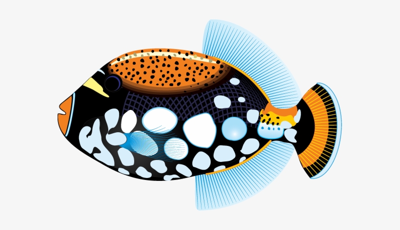 Tropical Fish Clipart - Tropical Fish Clip Art, transparent png download