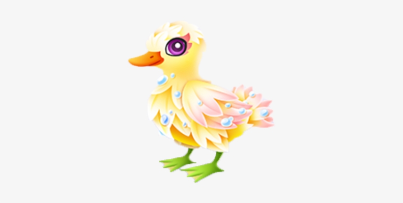Puddle Paddler Adult - Duck, transparent png download