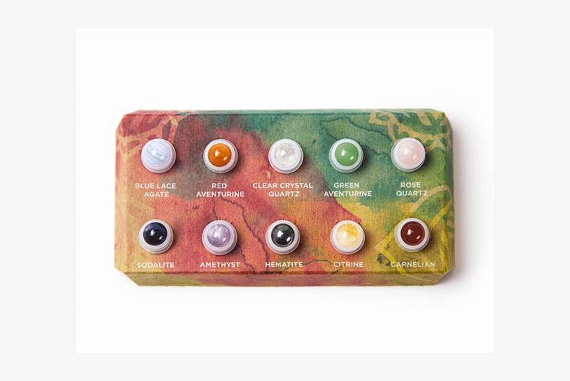 Previous - Macro Photography, transparent png download