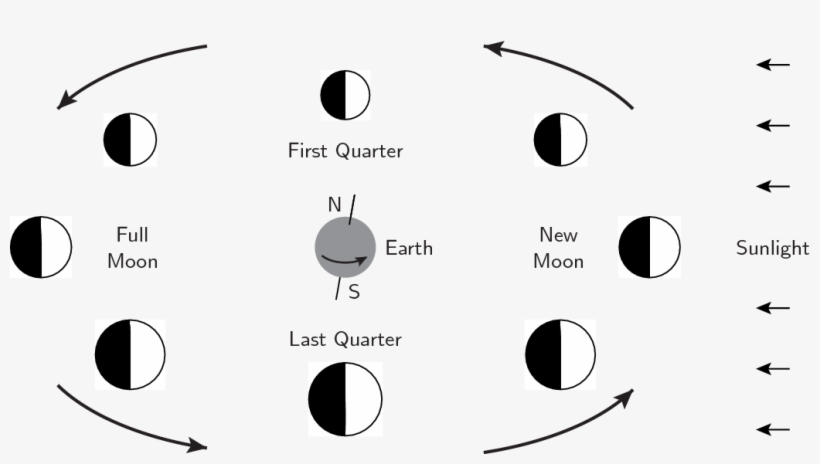 At New Moon, The Sun, Moon And Earth Lie In A Line - Circles Of The Moon, transparent png download
