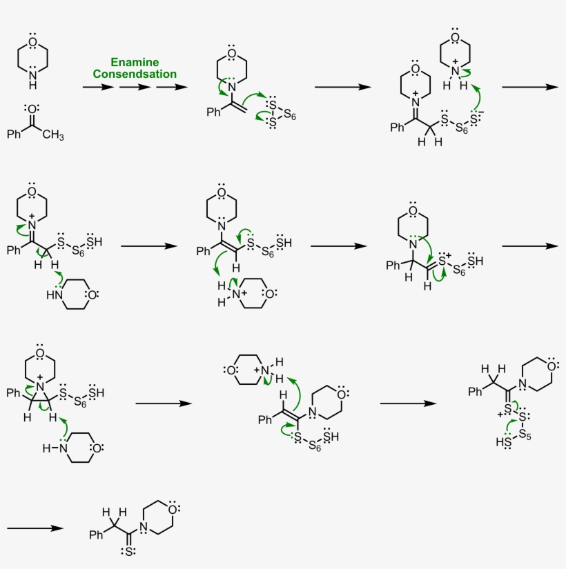 Mechanism Of The Willgerodt-kindler Reaction - Line Art, transparent png download