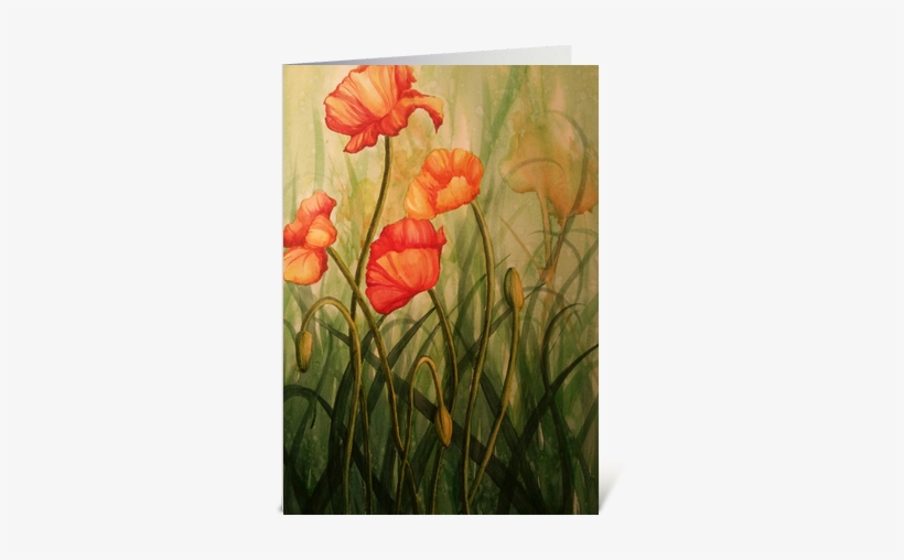 Poppy, transparent png download