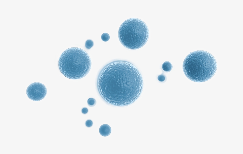 Stem Cells Png - Stem Cell Therapy Png, transparent png download