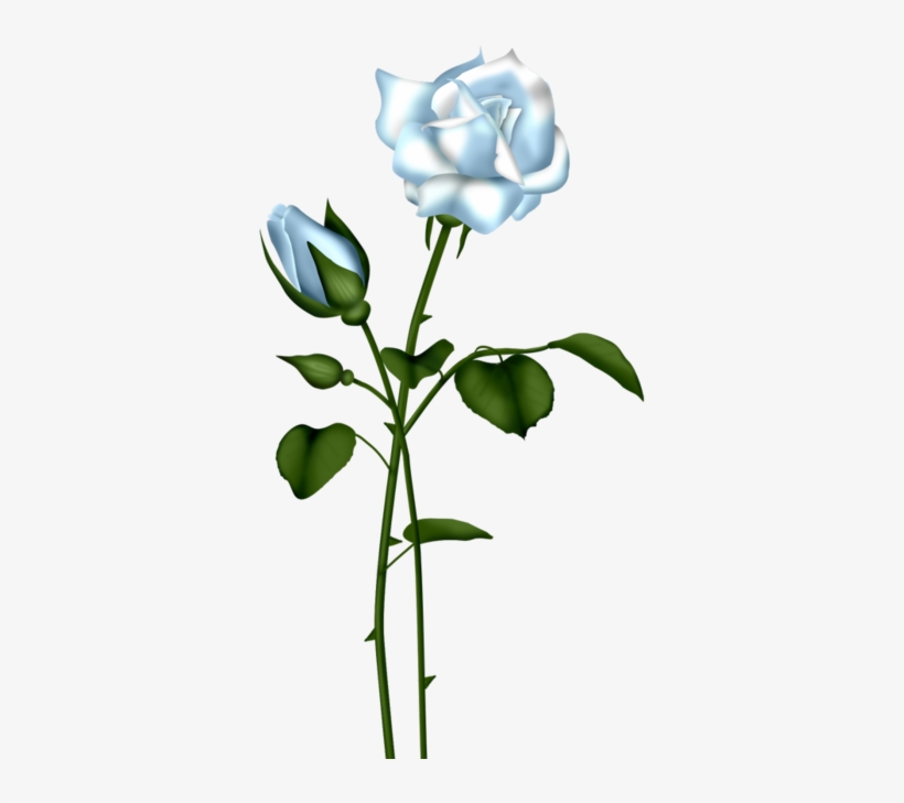 Blue - Light Blue Rose With Stem, transparent png download