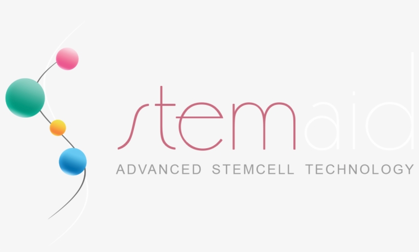What Is Stem Cell Therapy - Embryonic Stem Cell, transparent png download