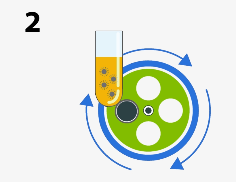 Stem Cell Steps 2 3 - Stem Cell, transparent png download