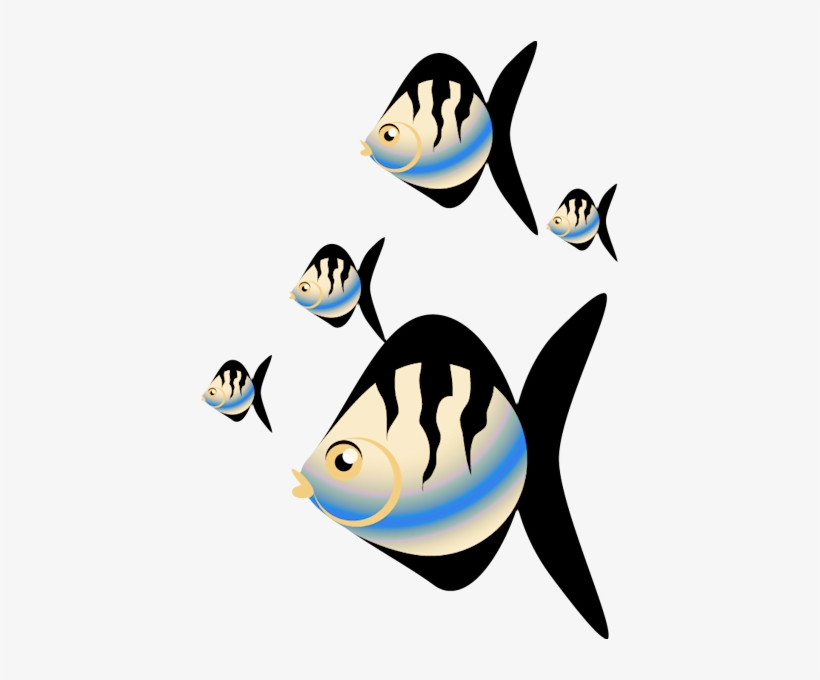Poissons,fish - Portable Network Graphics, transparent png download