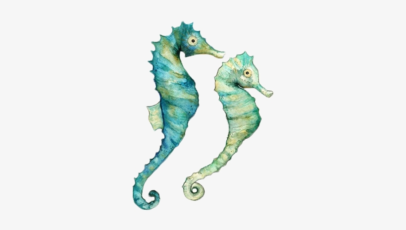 Horses Beachy Dreams Pinterest Highlighters Horse And - Watercolor Seahorse Png, transparent png download