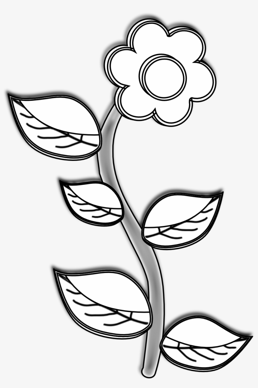 Flowers For Flower Drawings In Black And White - Plant With Flower Drawing, transparent png download