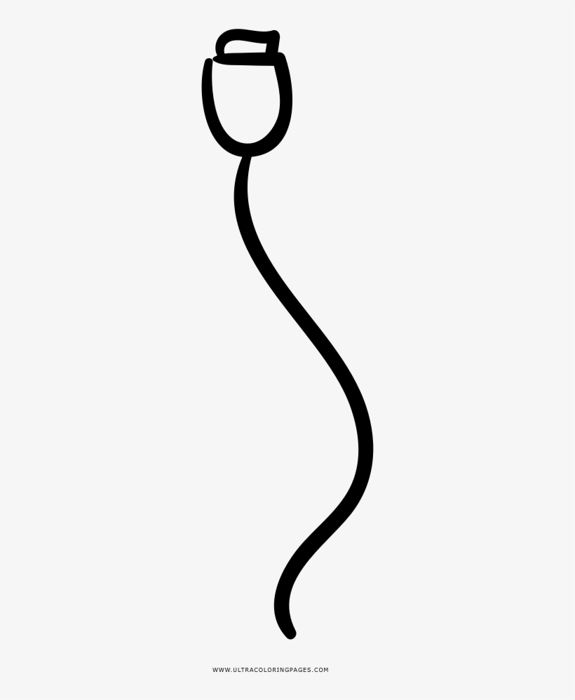 Usb Cable Coloring Page, transparent png download