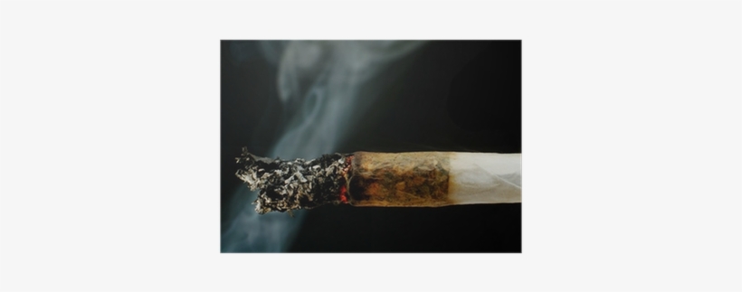 Hemp, transparent png download