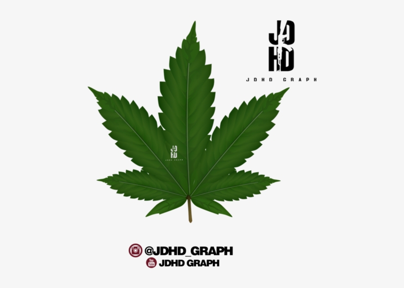 Hoja De Marihuana Png - Medical Marijuana Clip Art, transparent png download