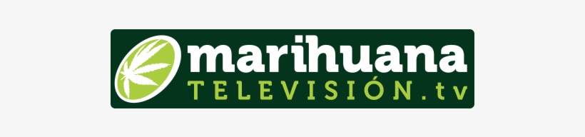 Marihuana Television - Television, transparent png download