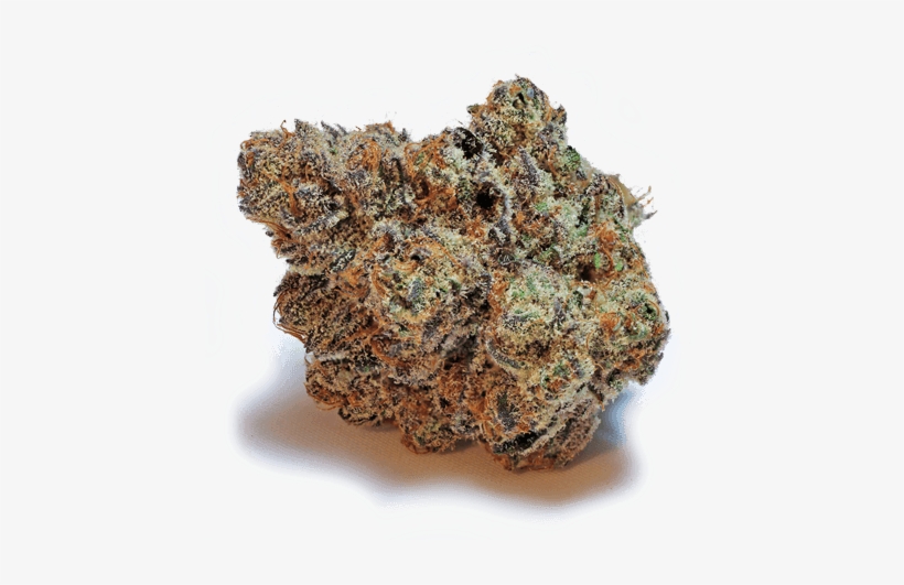 Sativa Indica - Mimosa Cannabis, transparent png download